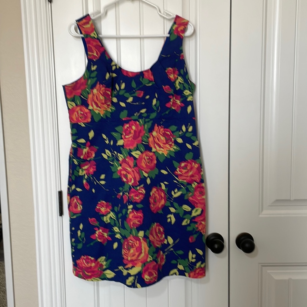 Lands End Sleeveless Floral Dress